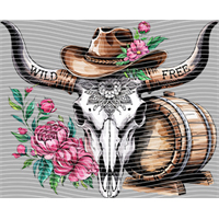 Country music-CM-1333